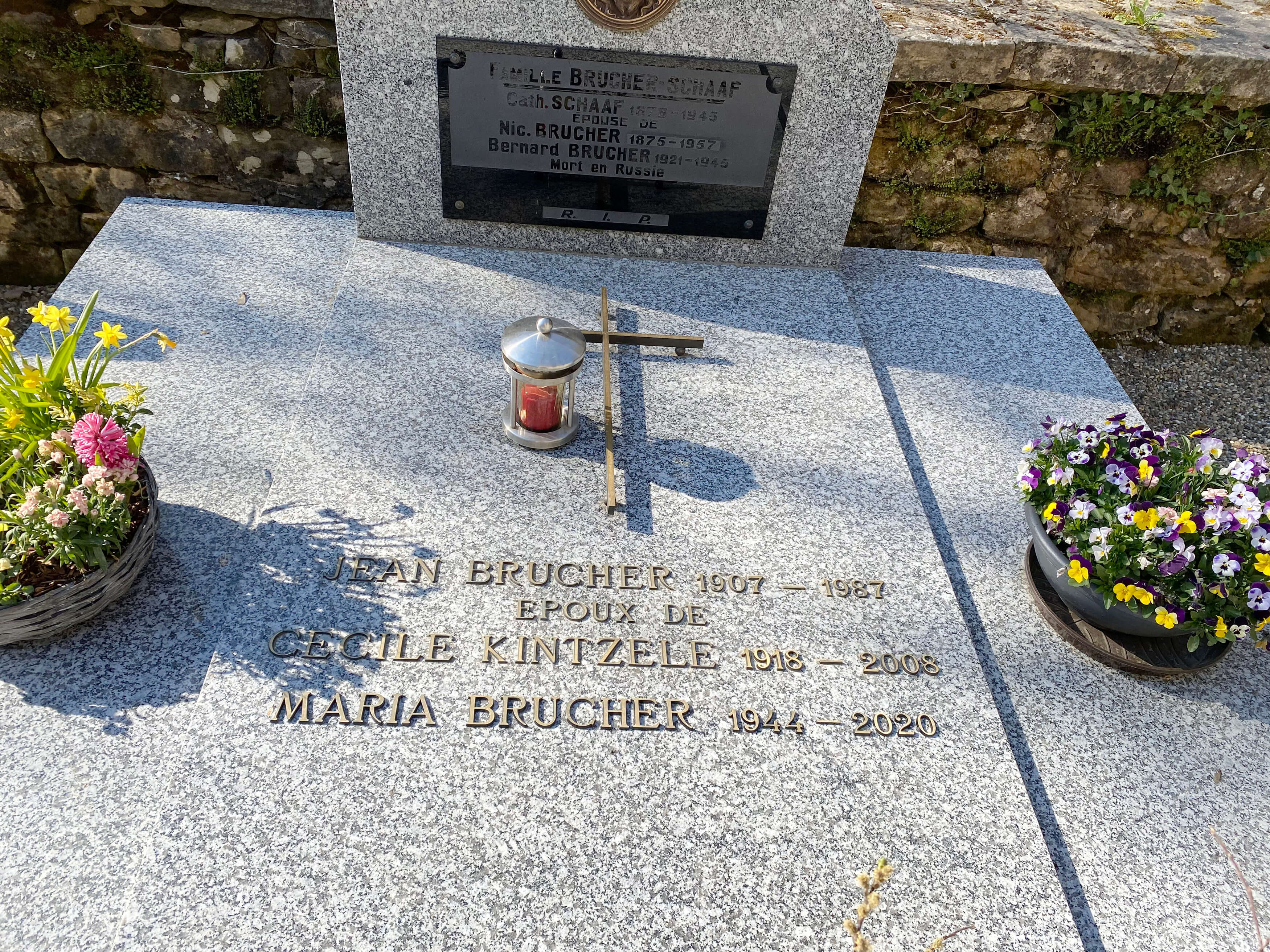  OptimizedImage,,,Optimized