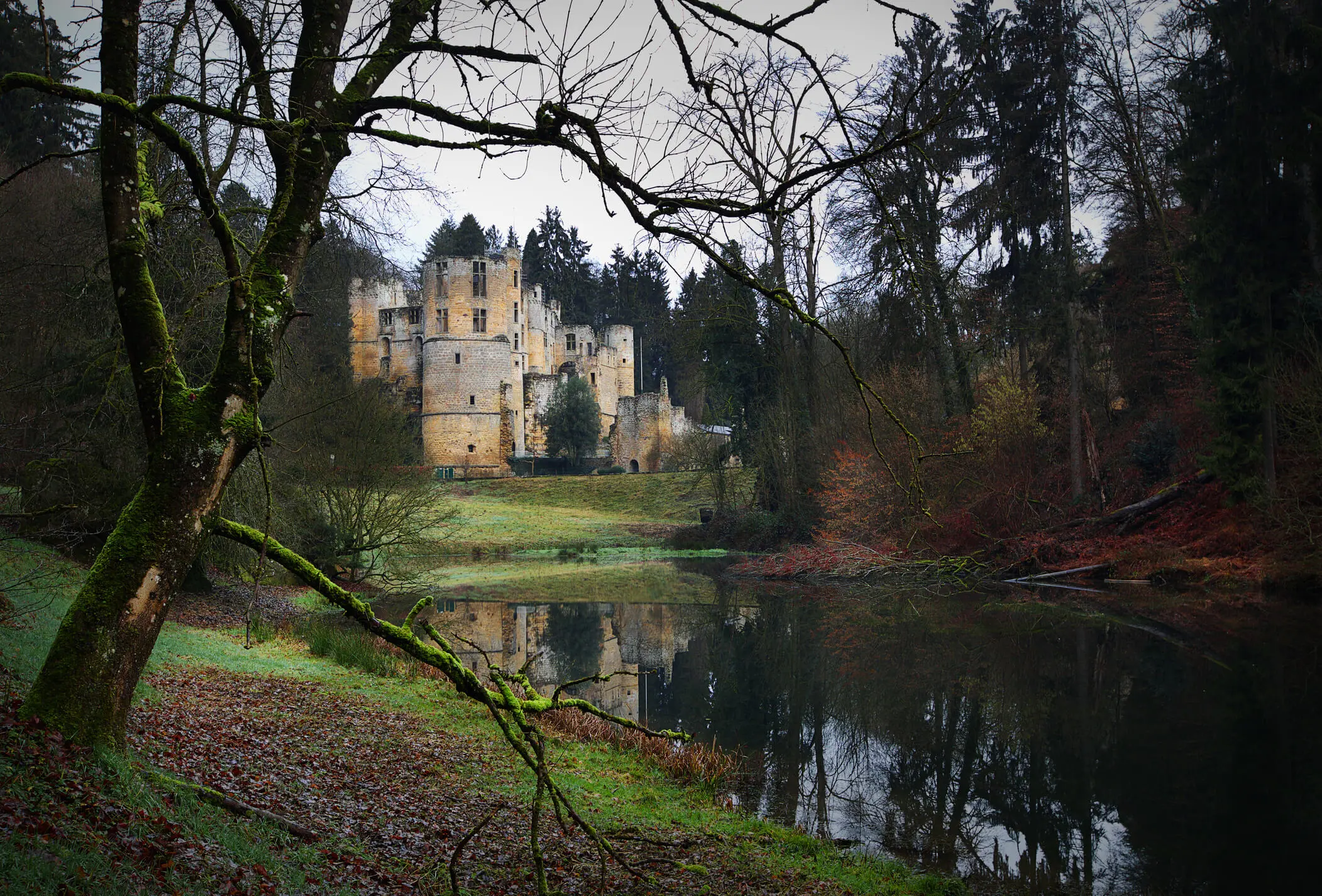  OptimizedImage,,,Optimized