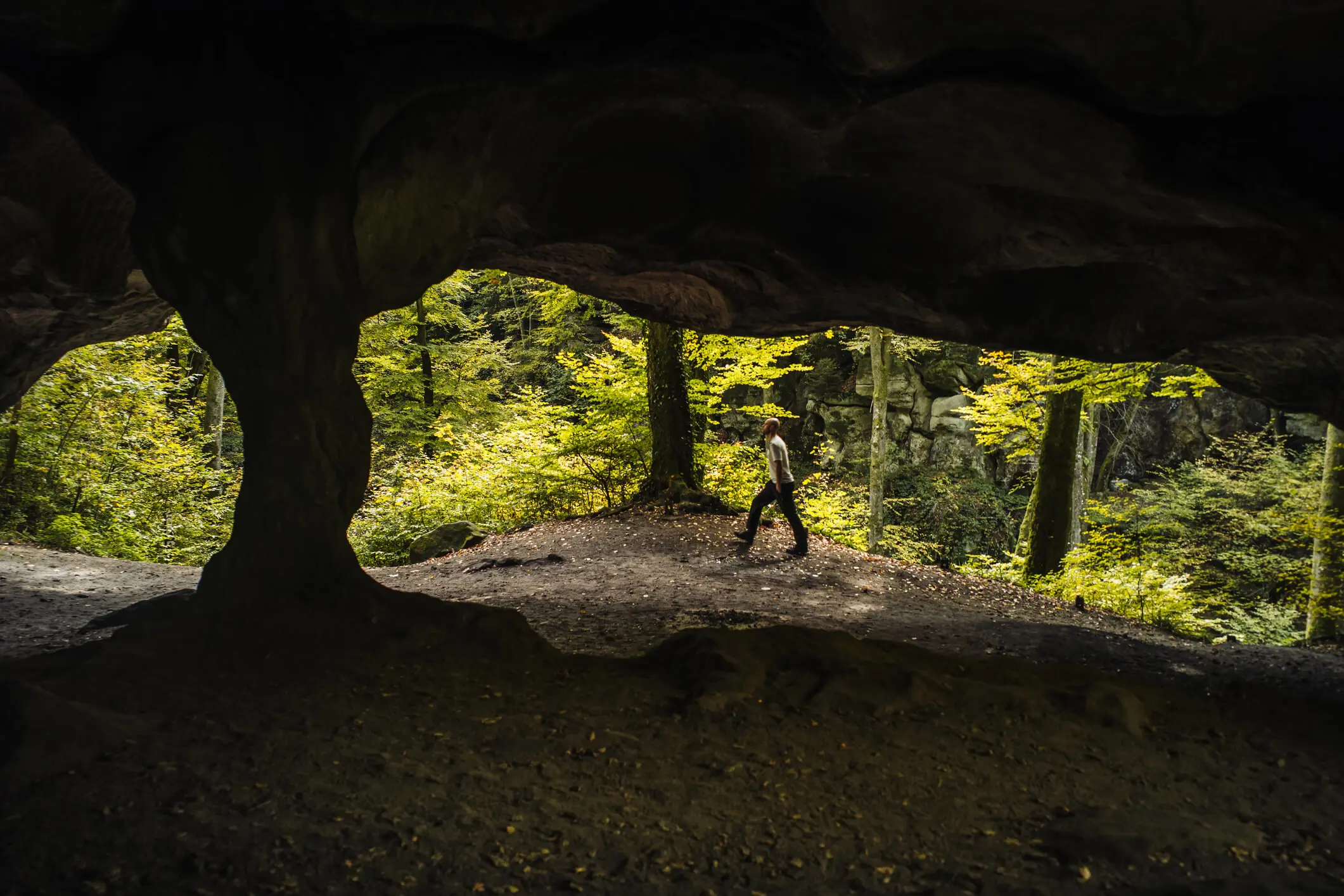  OptimizedImage,,,Optimized