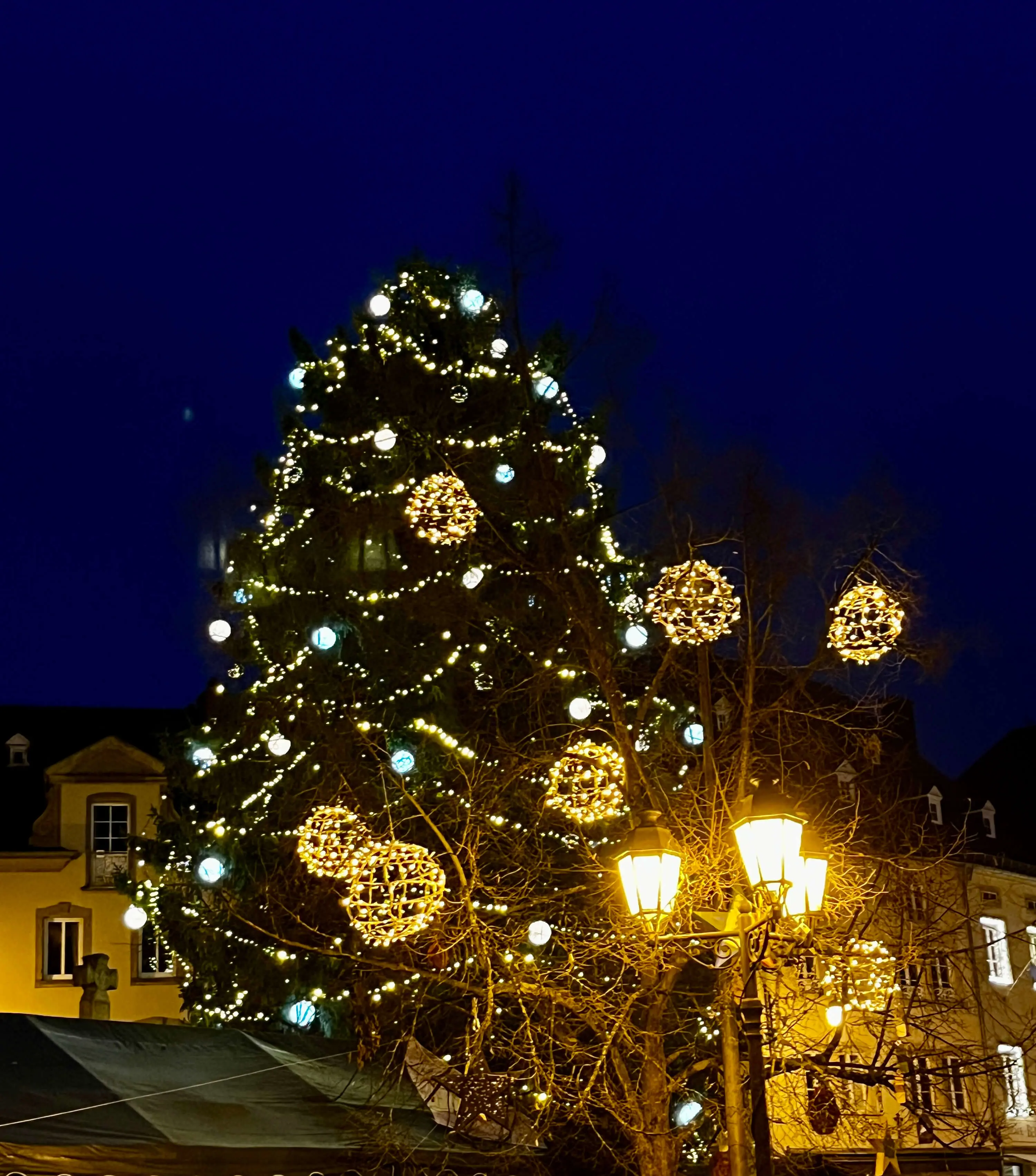  OptimizedImage,,,Optimized