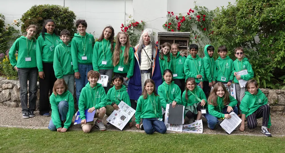  OptimizedImage,Optimized