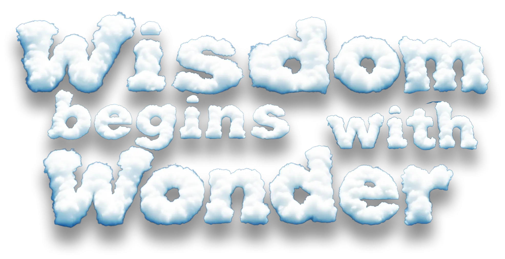  OptimizedImage,Optimized