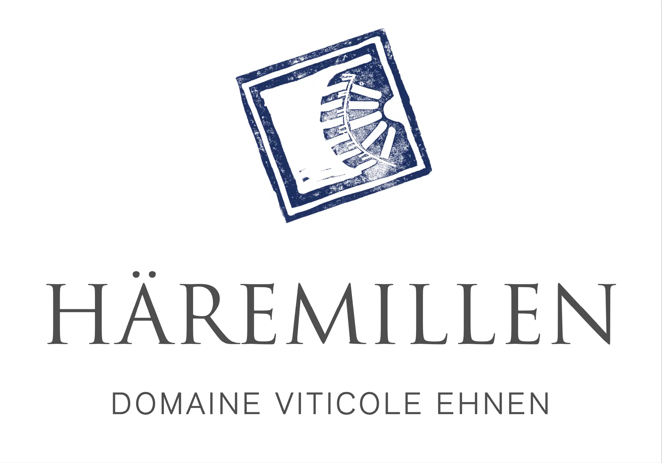 OptimizedImage,,,Optimized