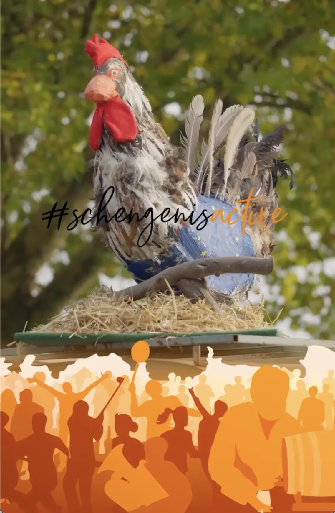 OptimizedImage,,,Optimized