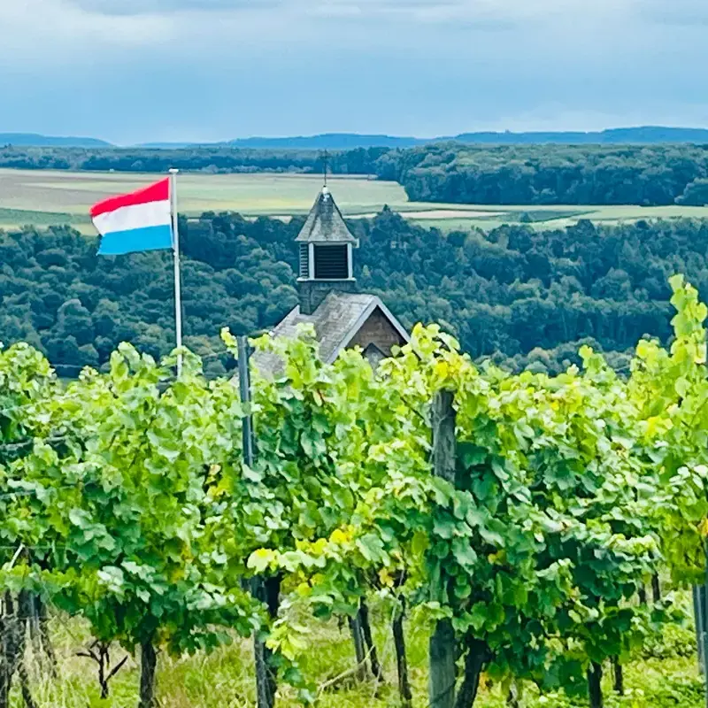 Inside Luxembourg: A taste of September