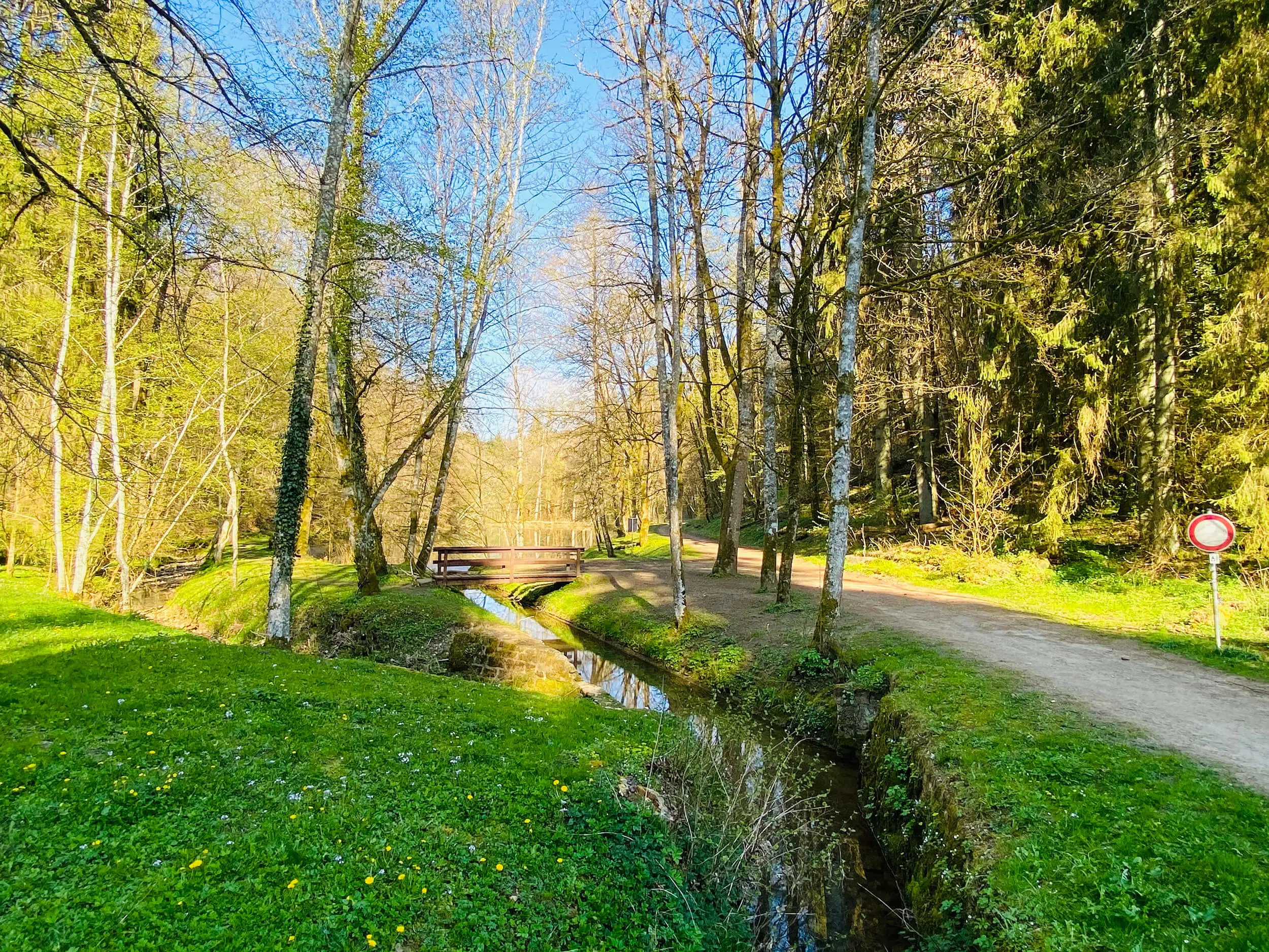  OptimizedImage,,,Optimized