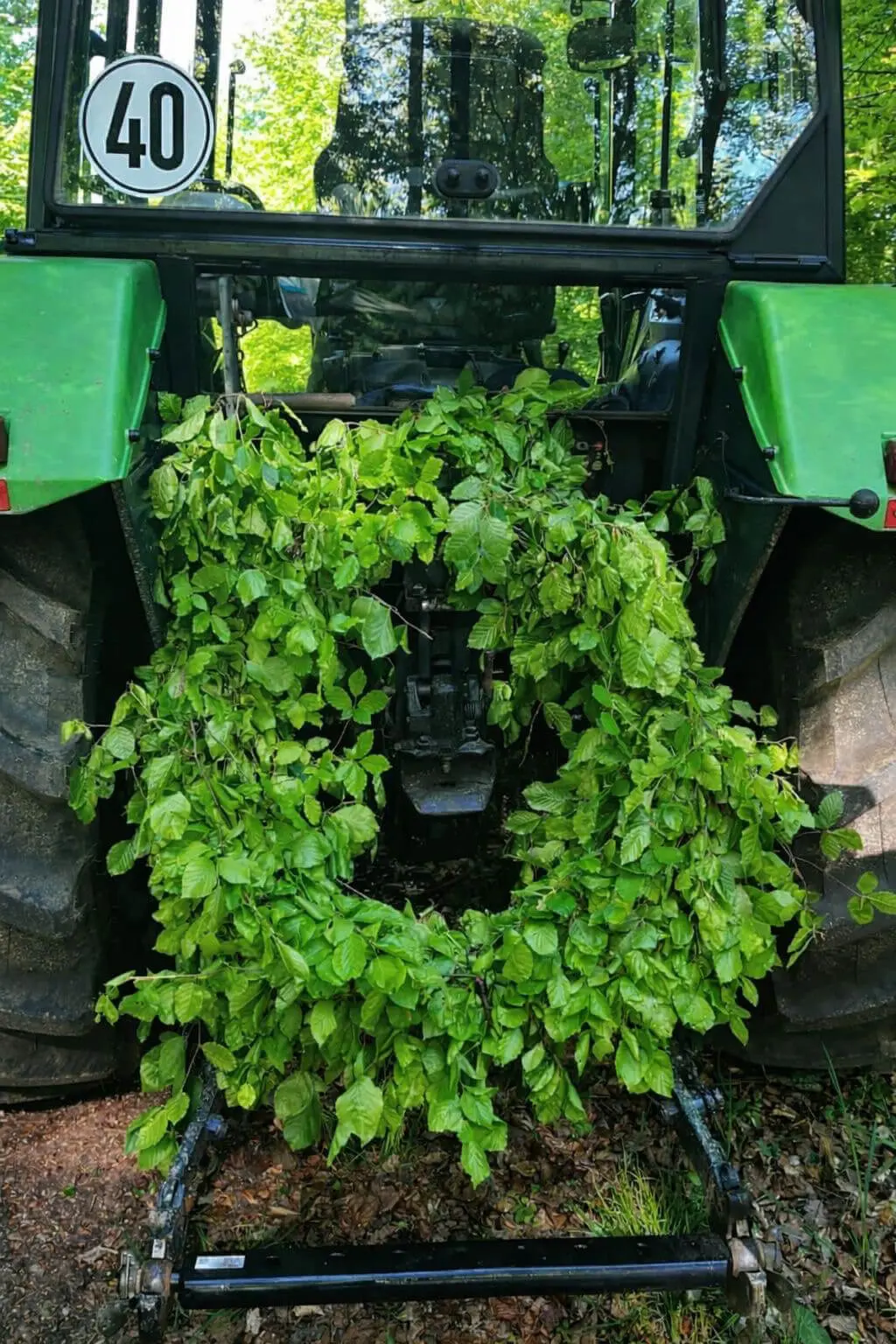  OptimizedImage,,,Optimized