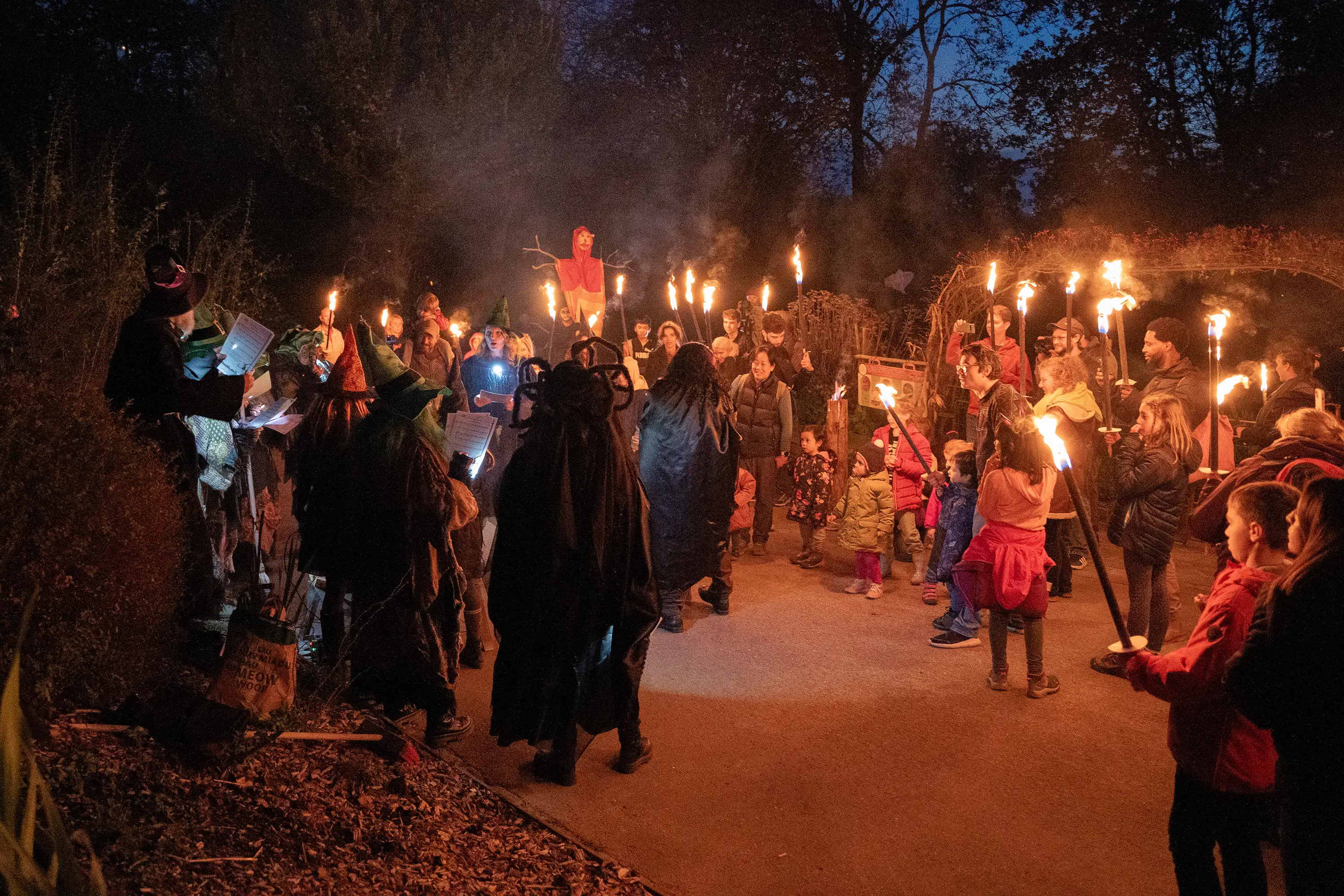 OptimizedImage,,,Optimized