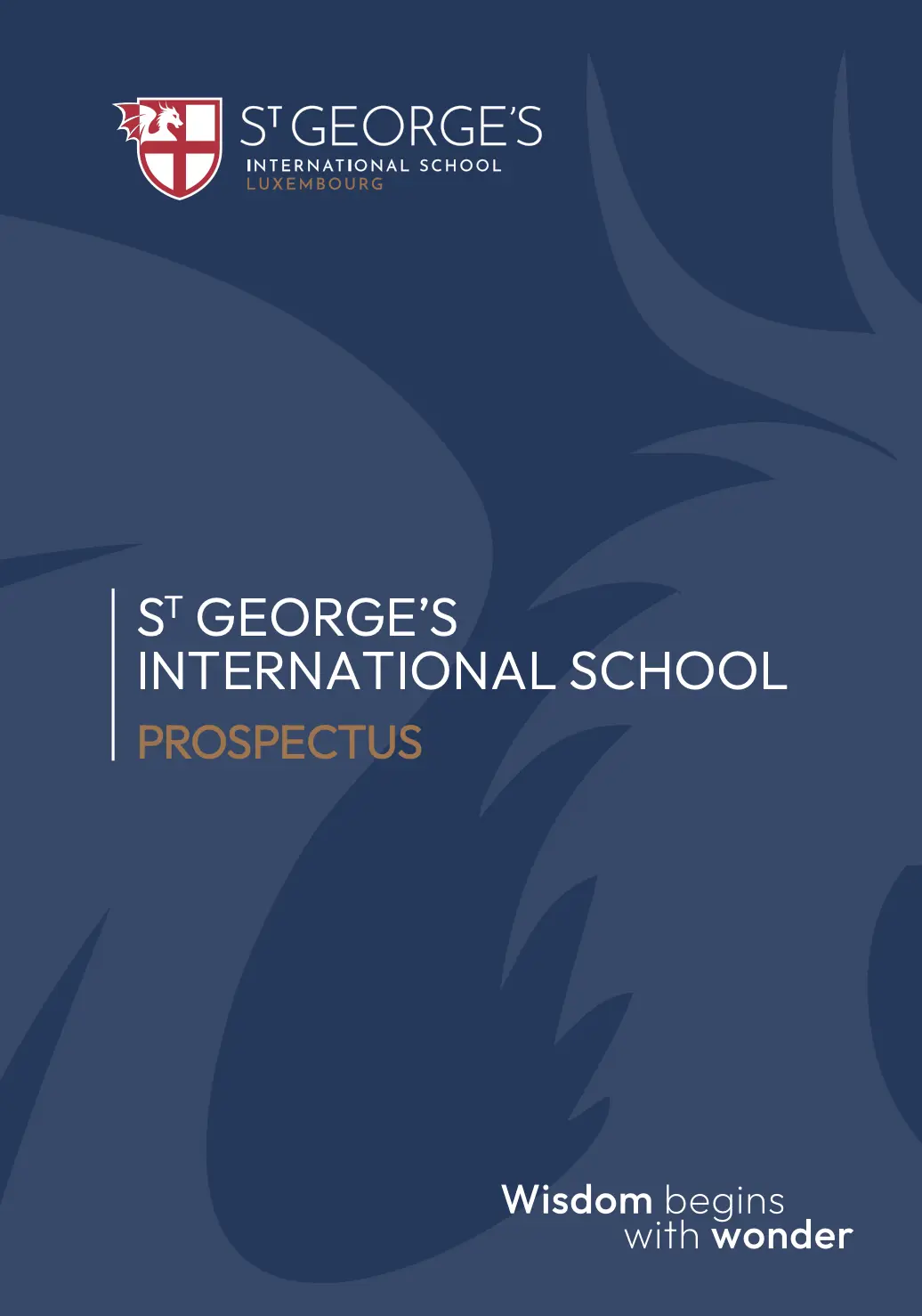 OptimizedImage,,,Optimized