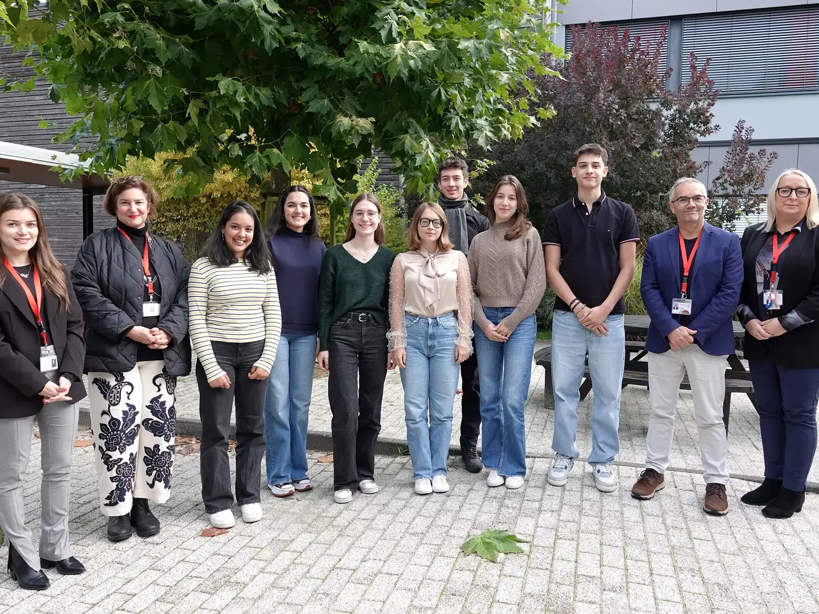 Content Image Landscape