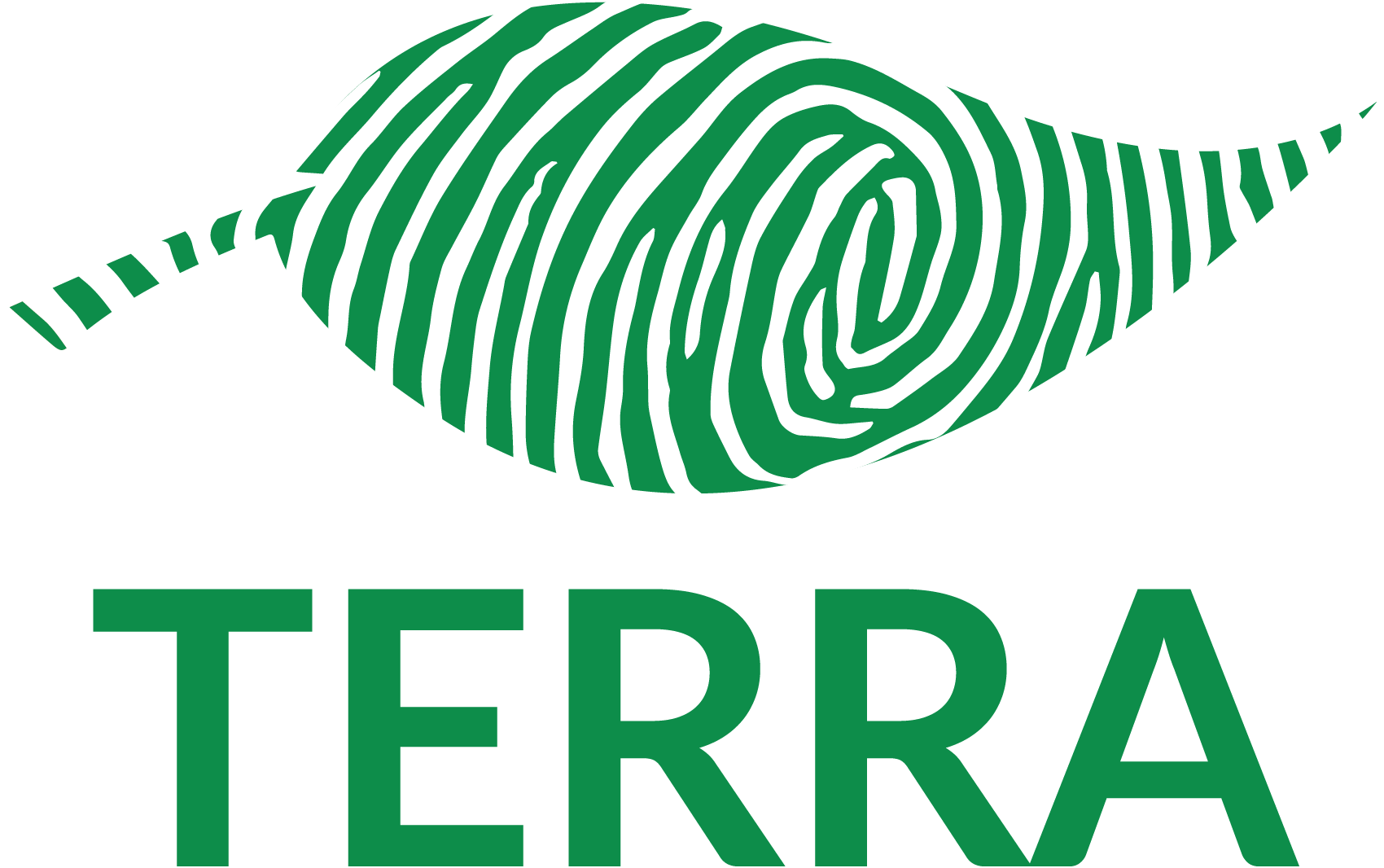 OptimizedImage,,,Optimized