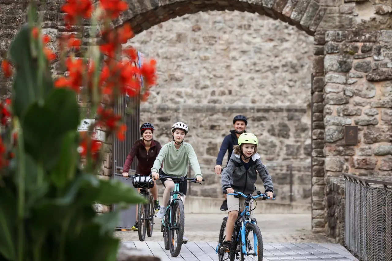  OptimizedImage,,,Optimized