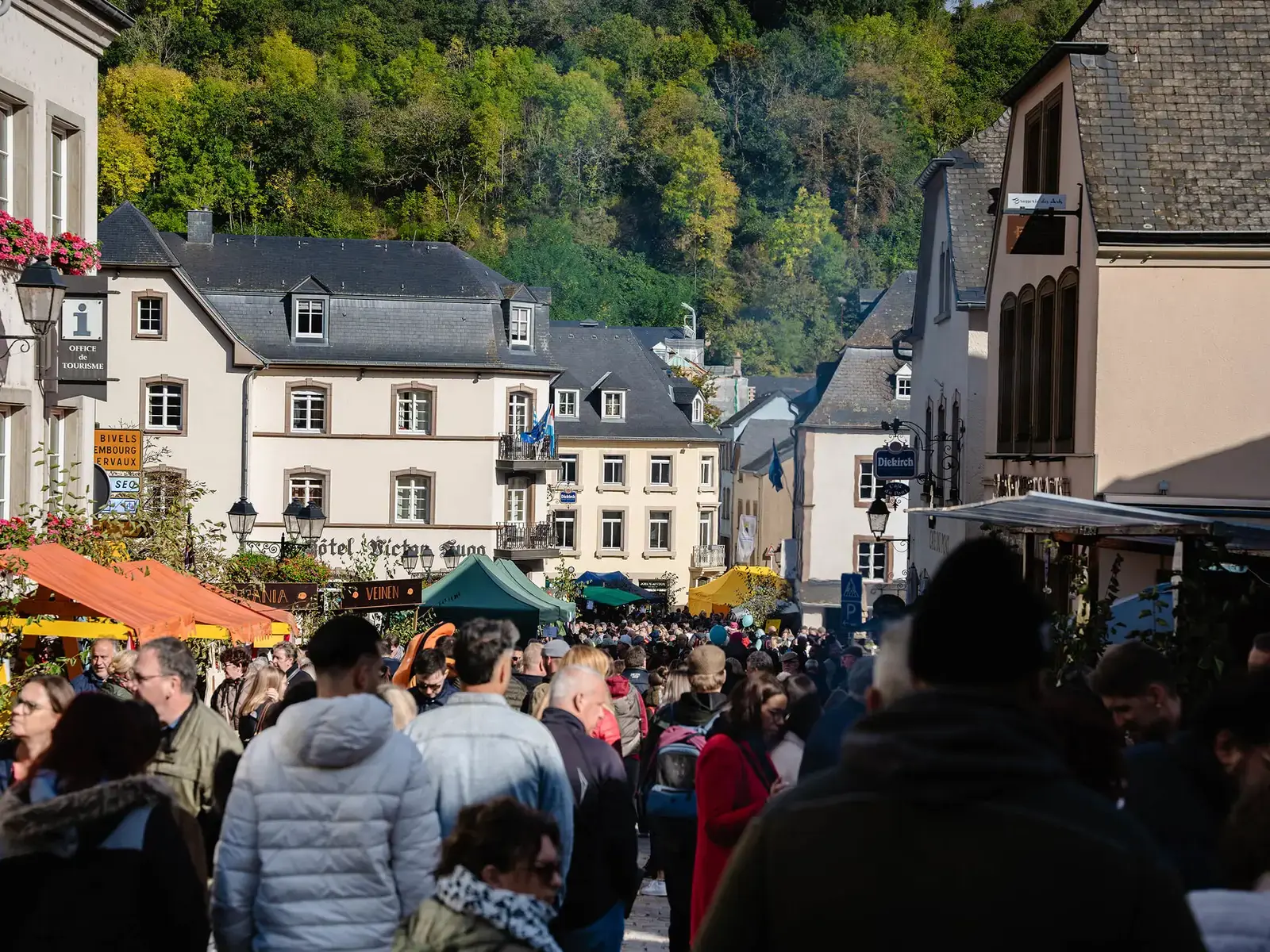 Content Image Landscape