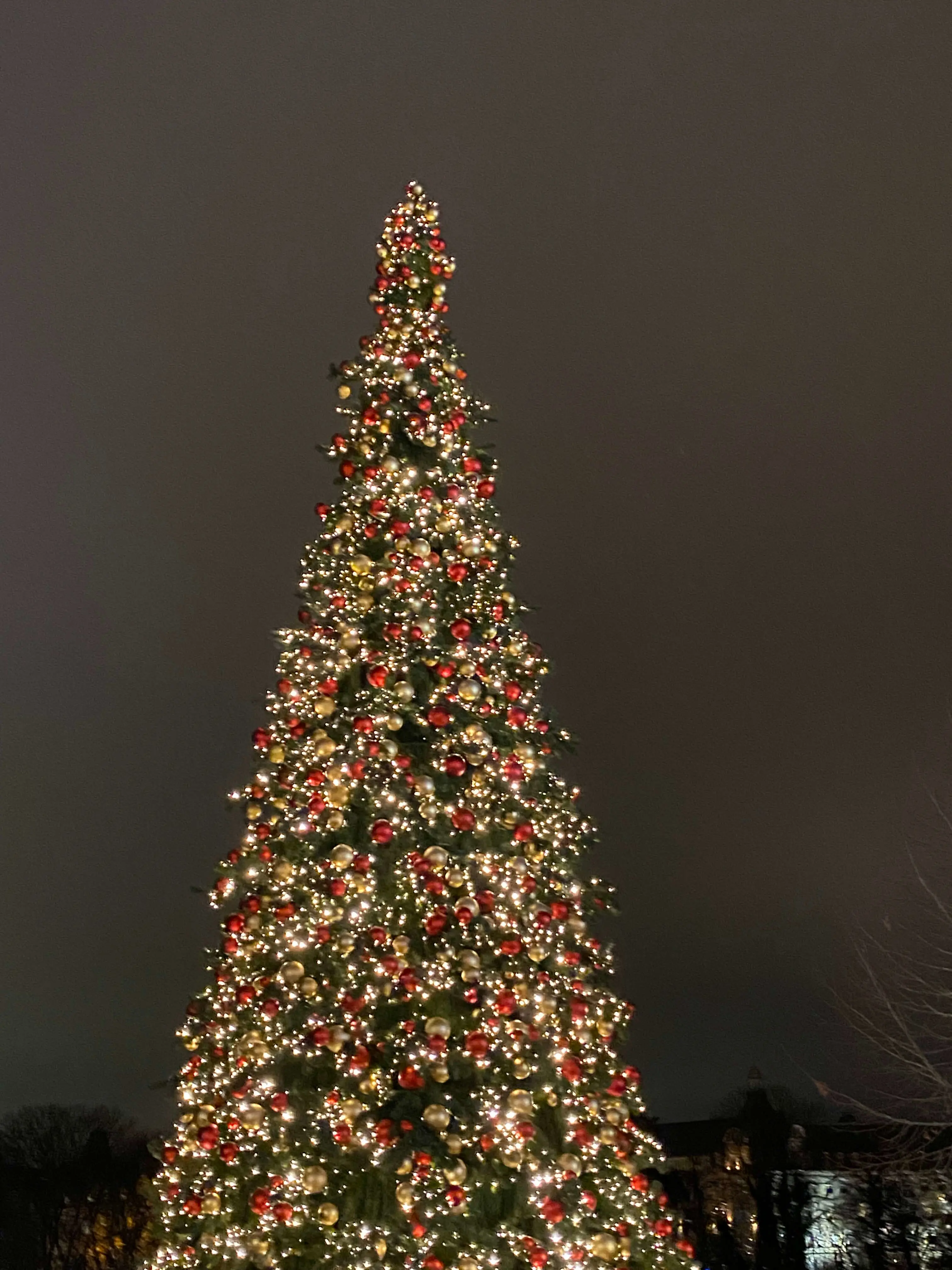 OptimizedImage,,,Optimized