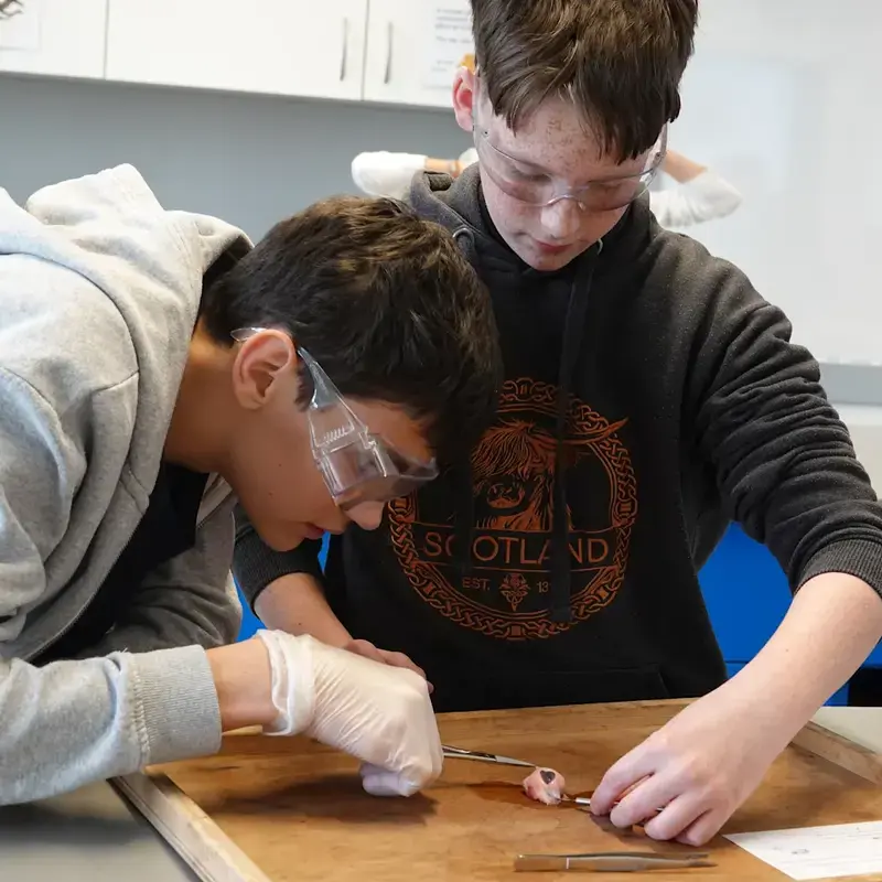 Dissection: an eye-opening experience