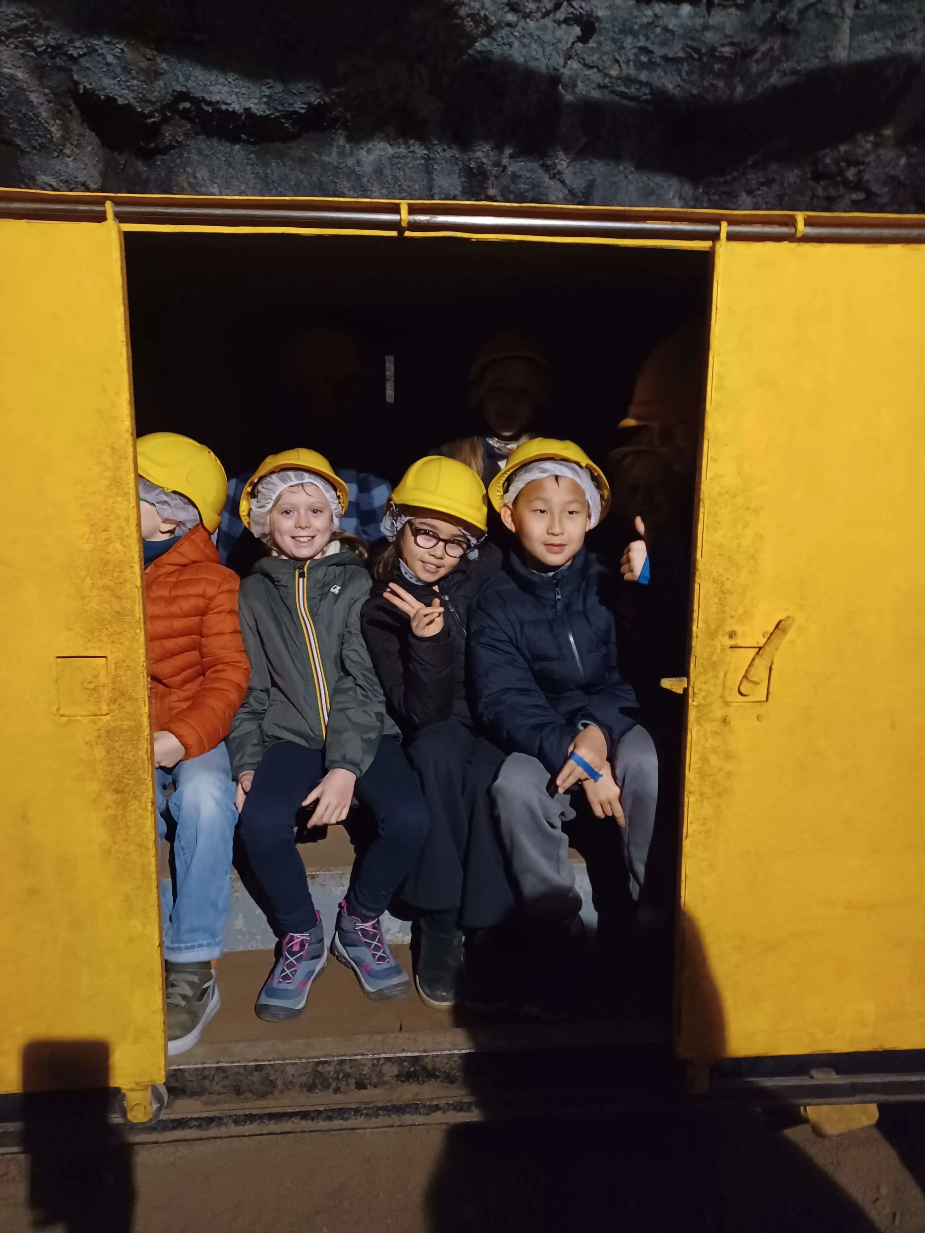 OptimizedImage,,,Optimized