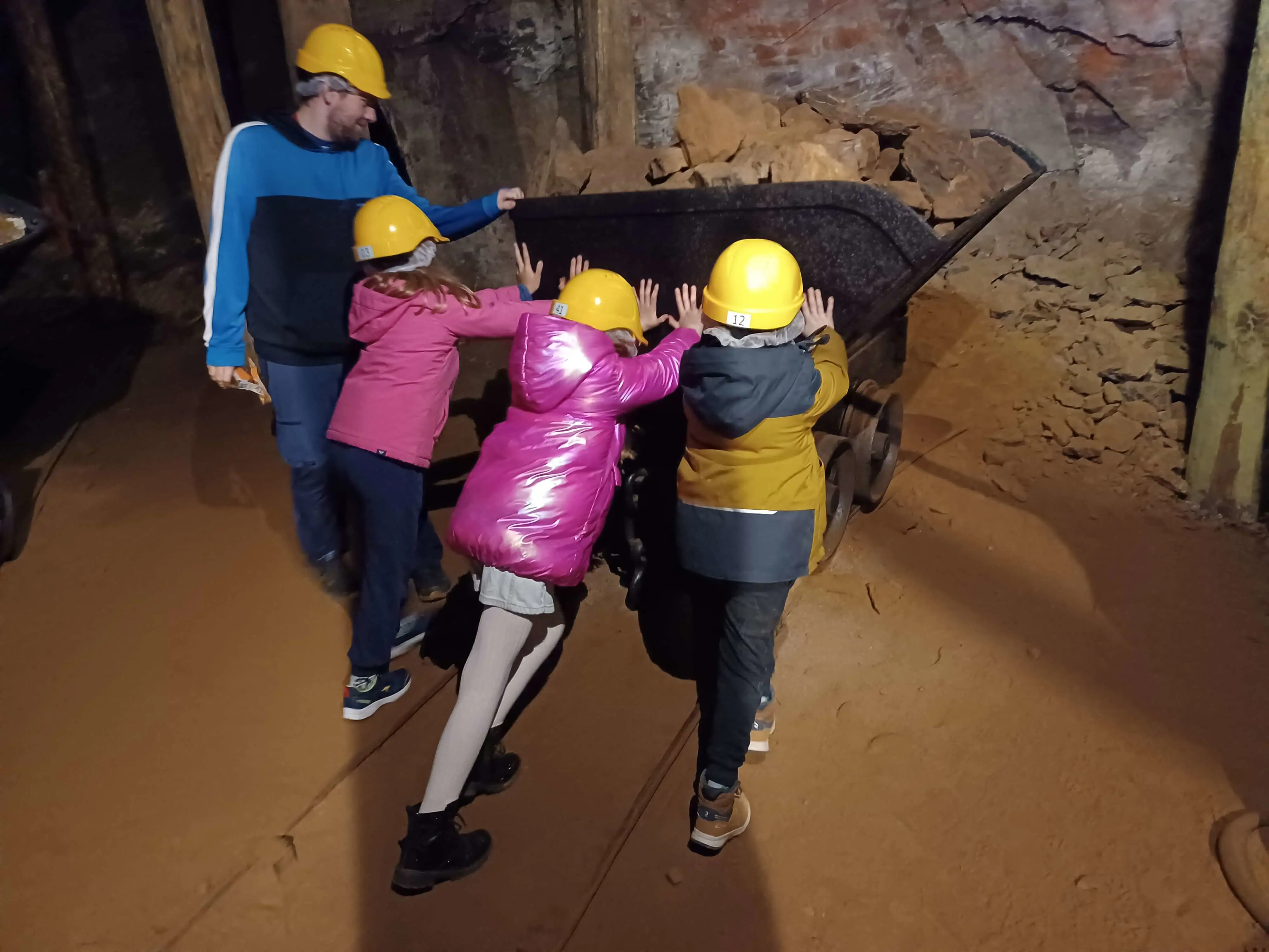  OptimizedImage,,,Optimized