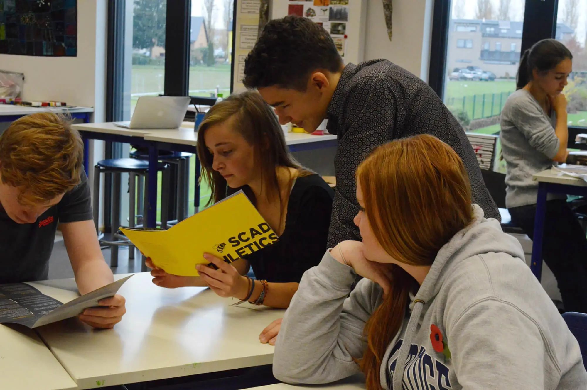  OptimizedImage,,,Optimized