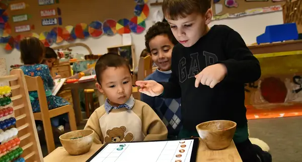  OptimizedImage,,,Optimized