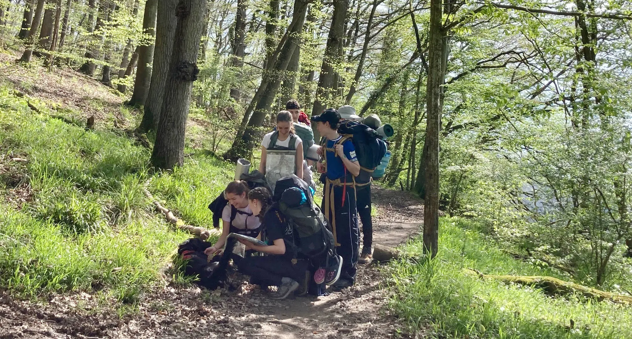  OptimizedImage,,,Optimized