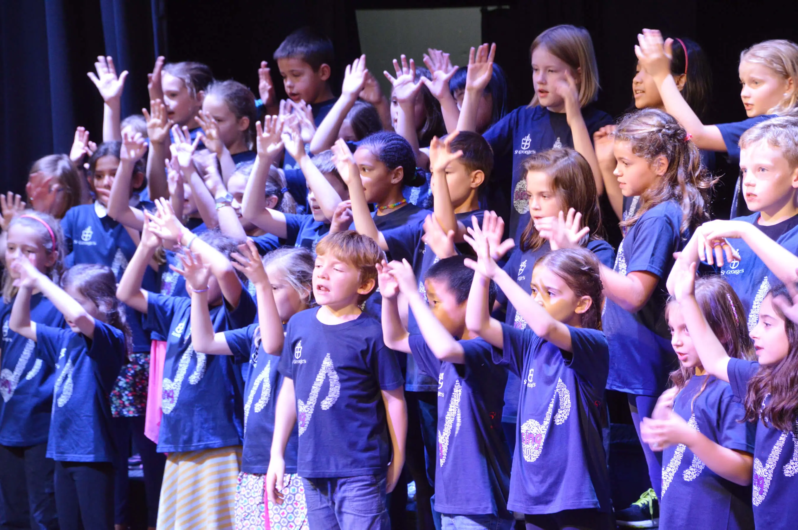  OptimizedImage,,,Optimized