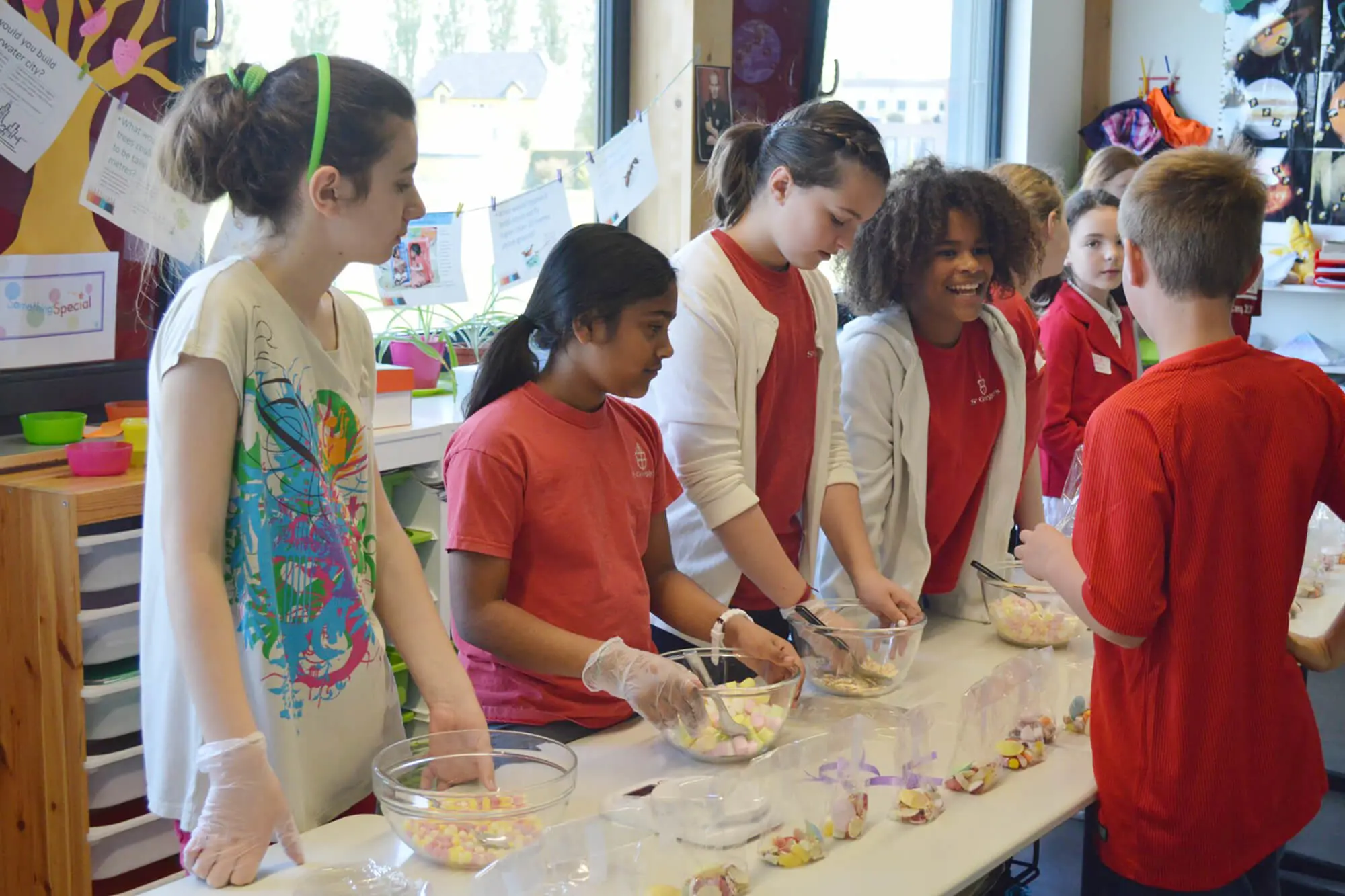  OptimizedImage,,,Optimized