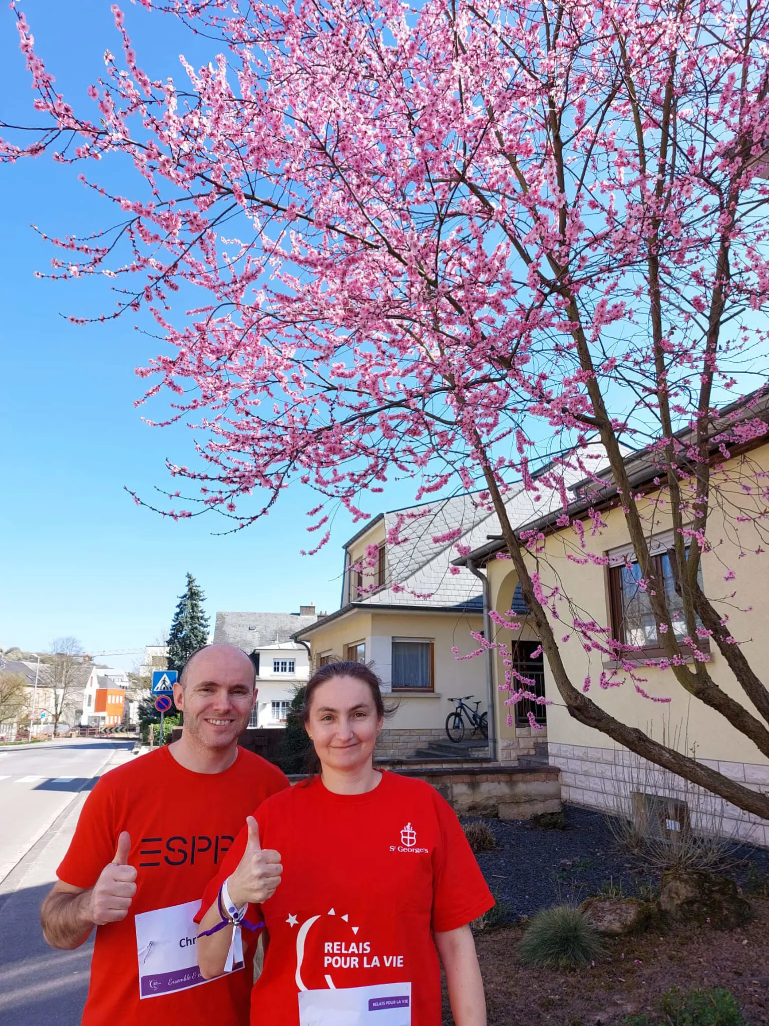  OptimizedImage,,,Optimized