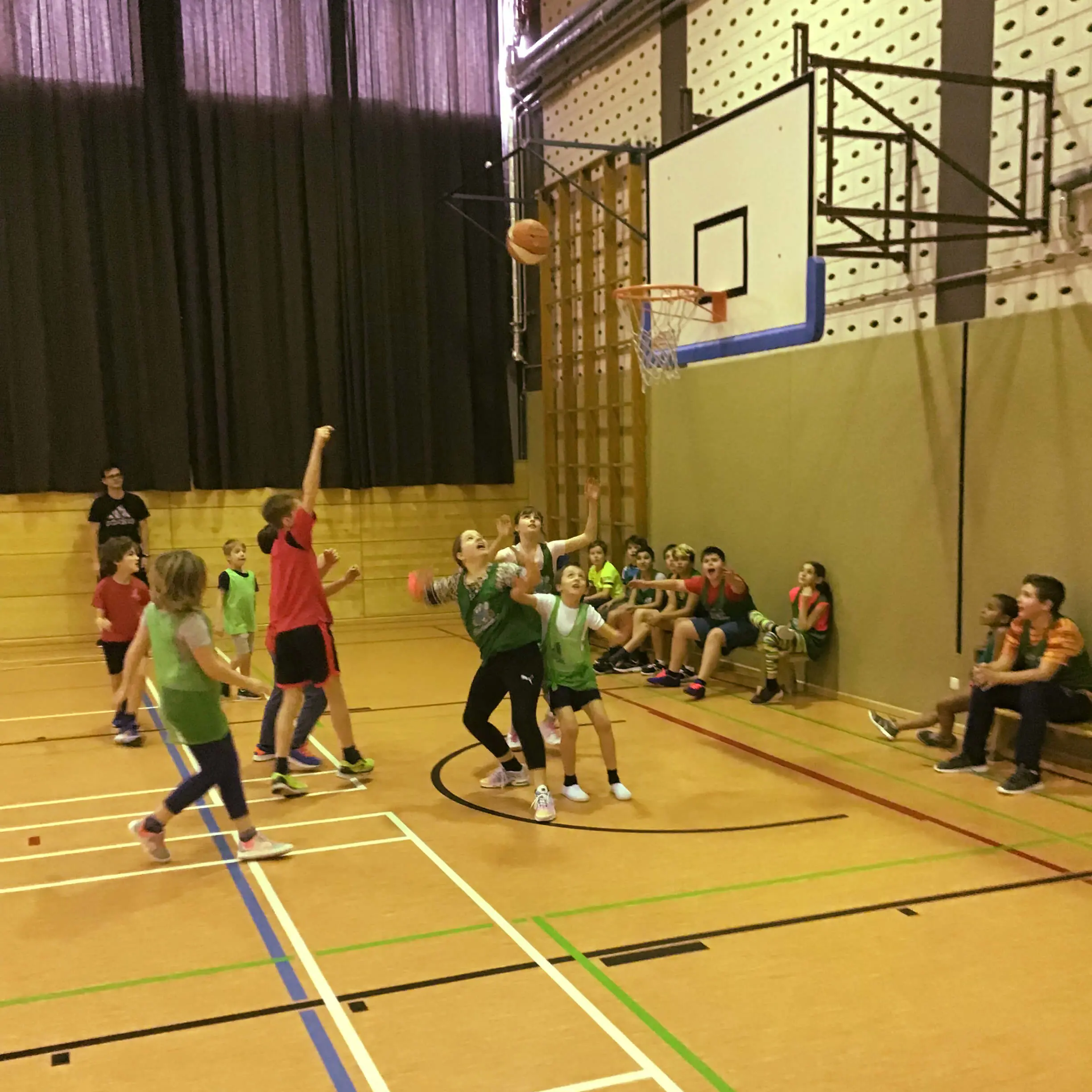  OptimizedImage,,,Optimized