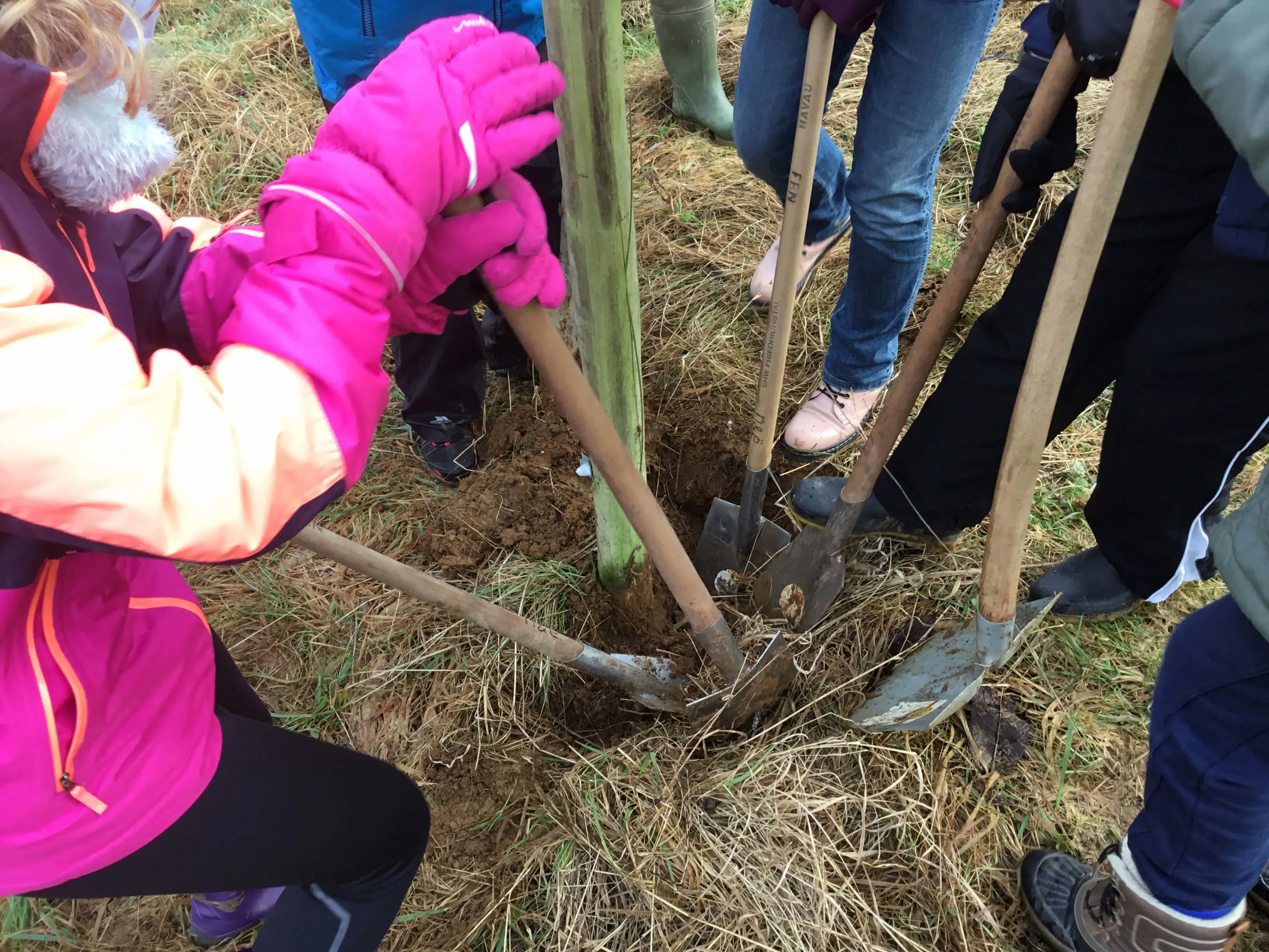 OptimizedImage,,,Optimized