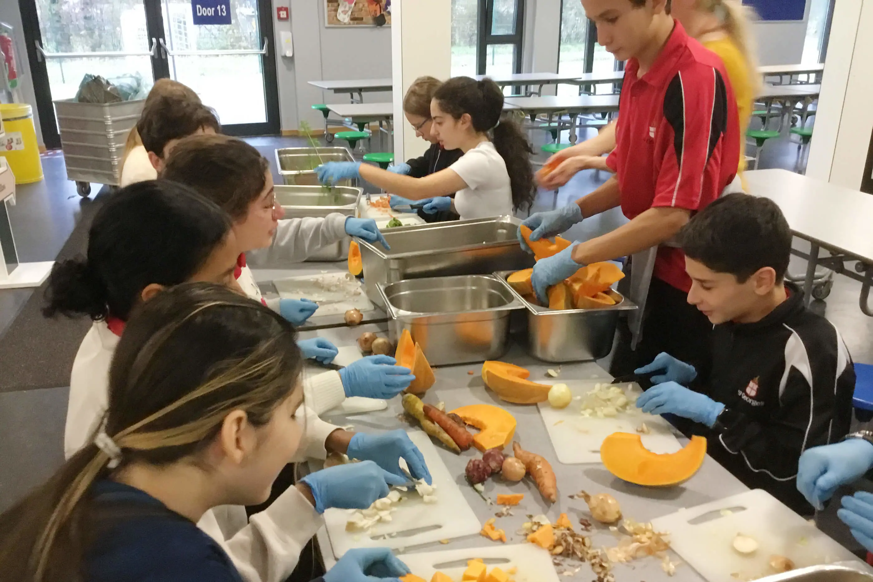  OptimizedImage,,,Optimized