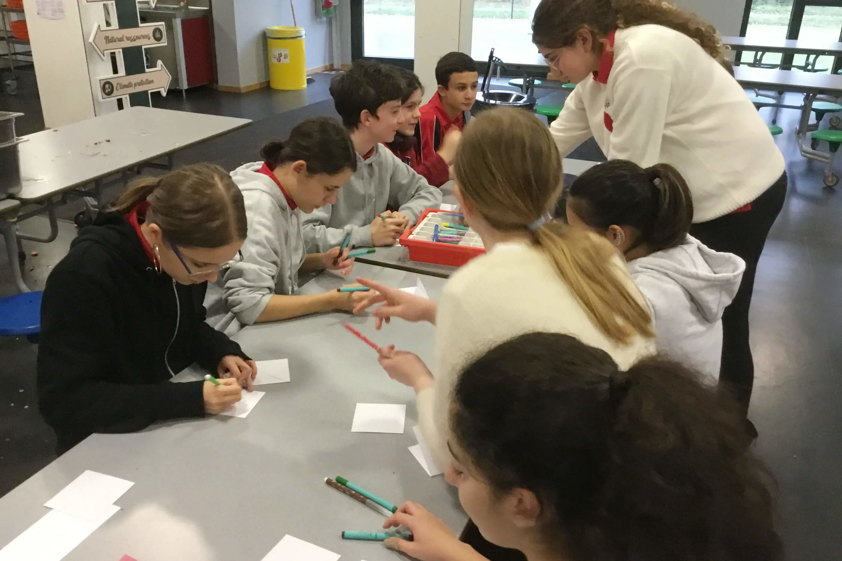  OptimizedImage,,,Optimized