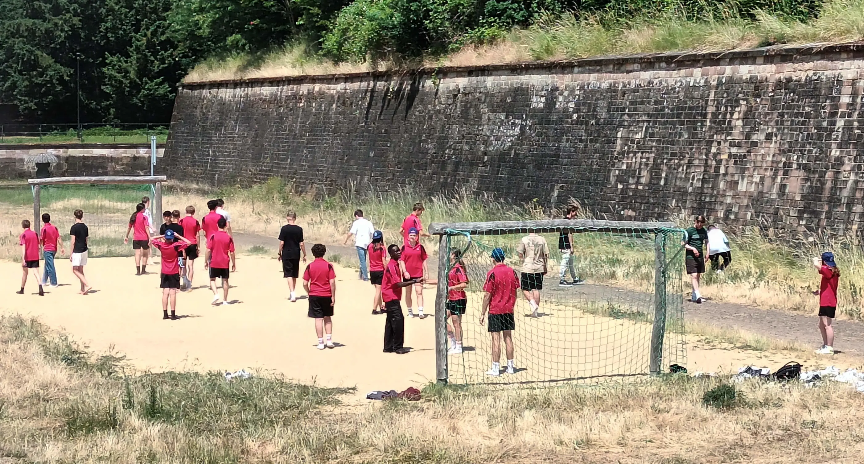  OptimizedImage,,,Optimized