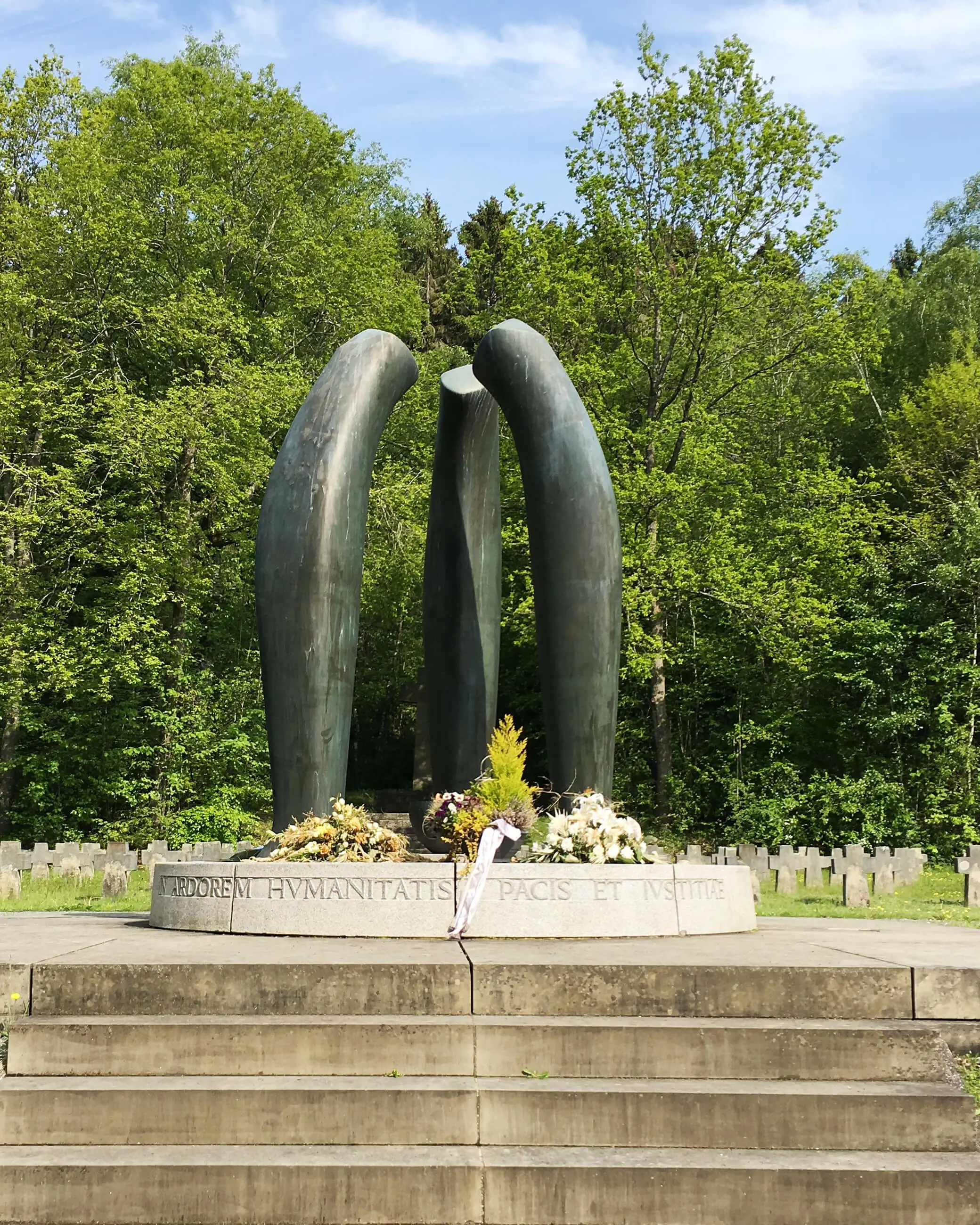  OptimizedImage,,,Optimized