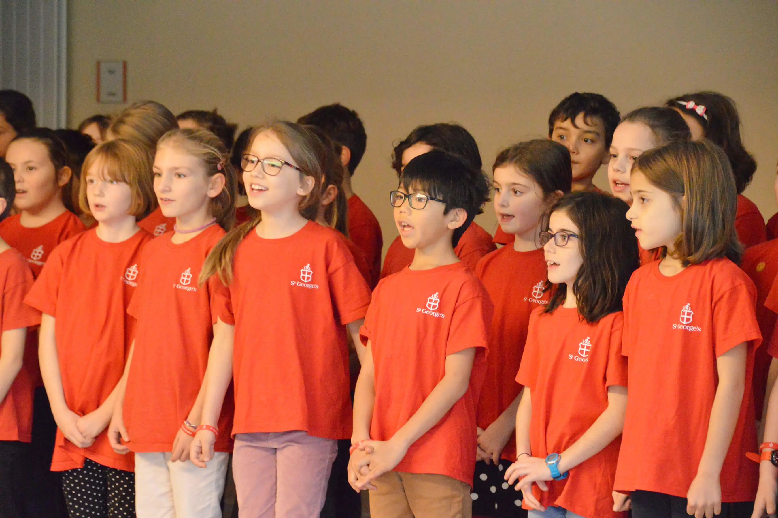  OptimizedImage,,,Optimized